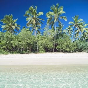Uoleva Island tropical scene with palm trees, Ha'apai Group, Tonga JLR06064