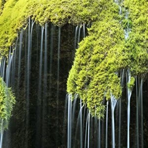Veil fall - water cascading down sinter deposits covered with moss Bavaria, Germany