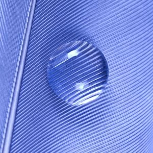 Water Drop on Blue Feather