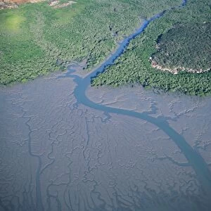 Western Australia - aerial of St George basin - Prince Regent Nature Reserve Salt Water Mangrove - dendretic drainage