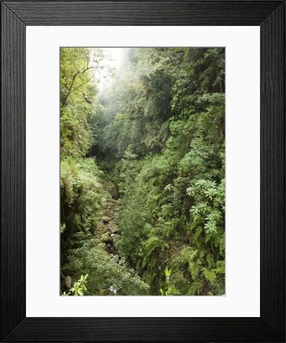 Framed Print : Picture No. 10896098
