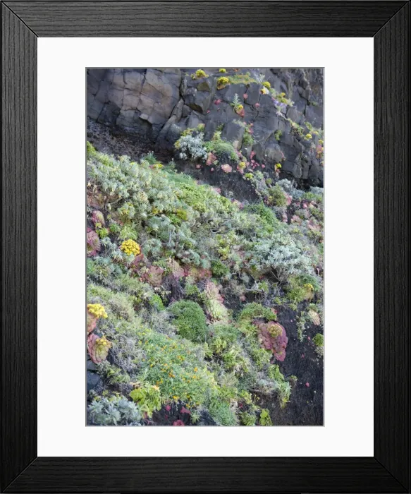 Framed Print : Picture No. 10896099 Framed Print : Picture No. 10896099
