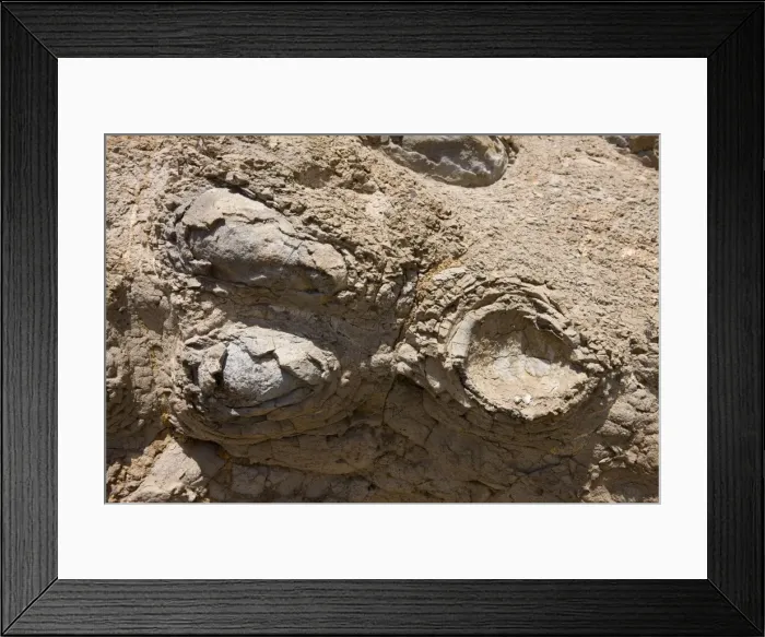 Framed Print : Picture No. 10896102 Framed Print : Picture No. 10896102
