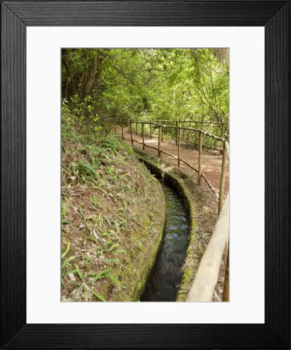 Framed Print : Picture No. 10896104