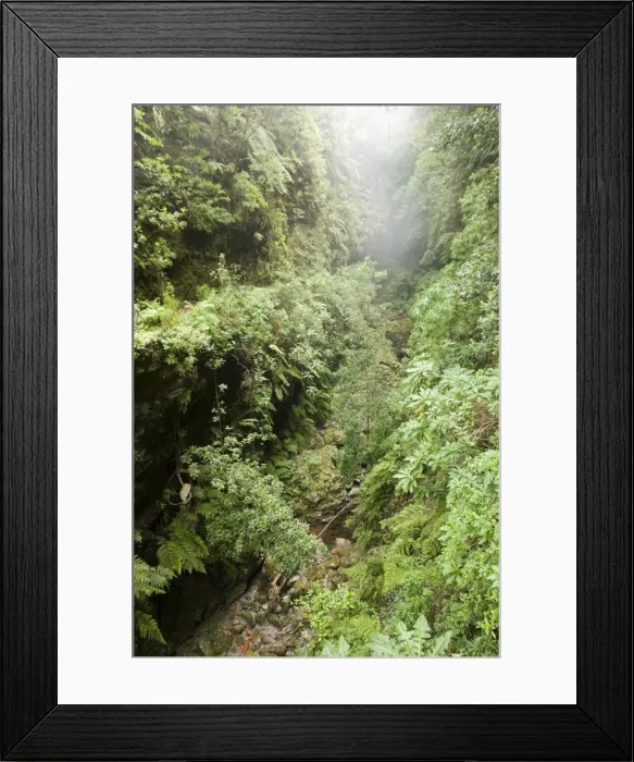 Framed Print : Picture No. 10896105 Framed Print : Picture No. 10896105