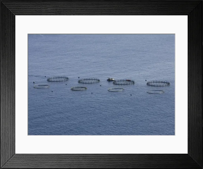 Framed Print : Picture No. 10896112 Framed Print : Picture No. 10896112