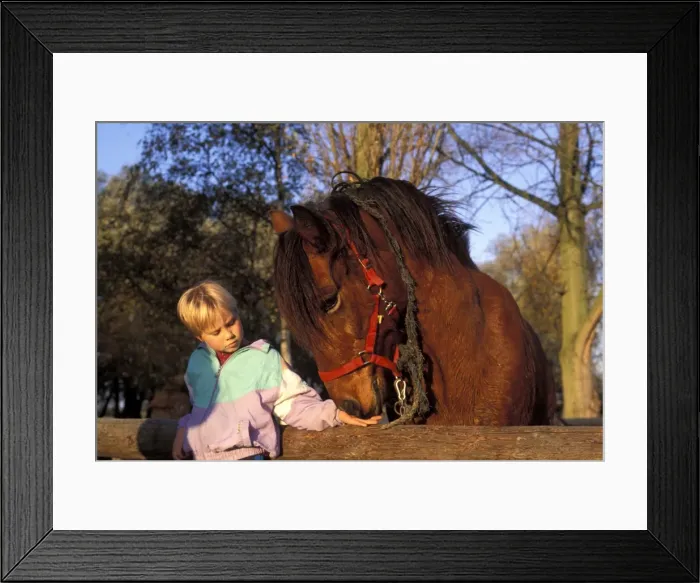 Framed Print : Picture No. 10896122 Framed Print : Picture No. 10896122