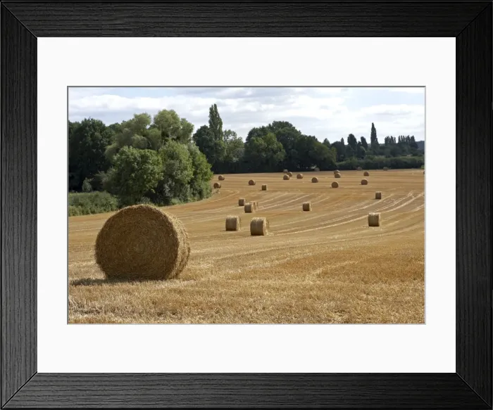 Framed Print : Picture No. 10896127 Framed Print : Picture No. 10896127