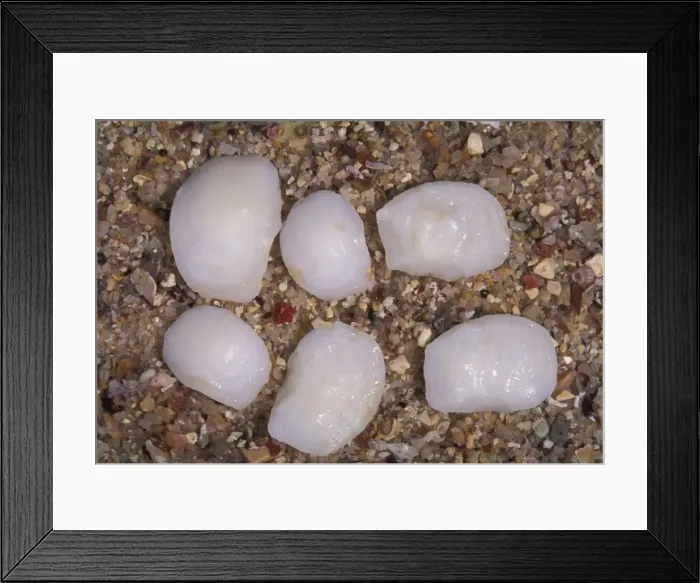Framed Print : Picture No. 10896137 Framed Print : Picture No. 10896137