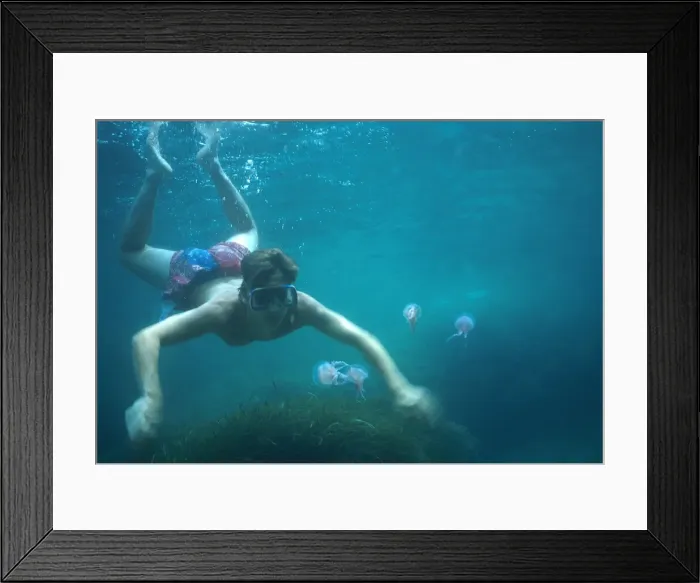 Framed Print : Picture No. 10896136 Framed Print : Picture No. 10896136