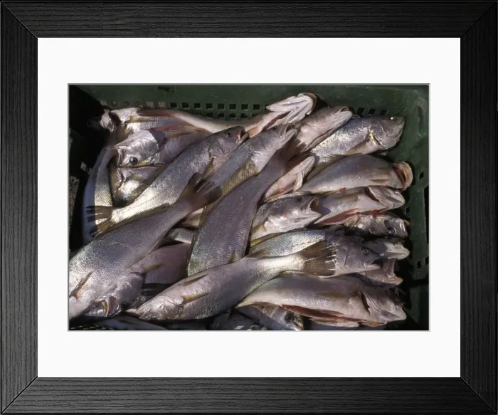 Framed Print : Picture No. 10896141 Framed Print : Picture No. 10896141