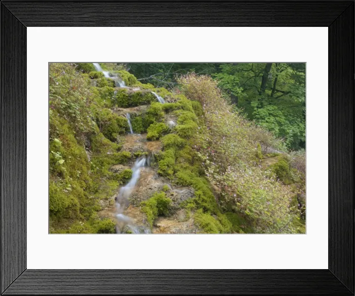 Framed Print : Picture No. 10896748 Framed Print : Picture No. 10896748