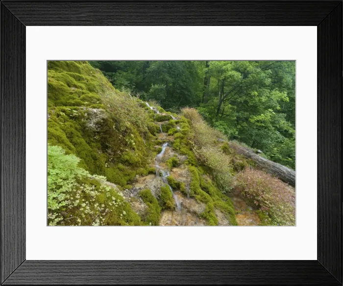 Framed Print : Picture No. 10896747 Framed Print : Picture No. 10896747
