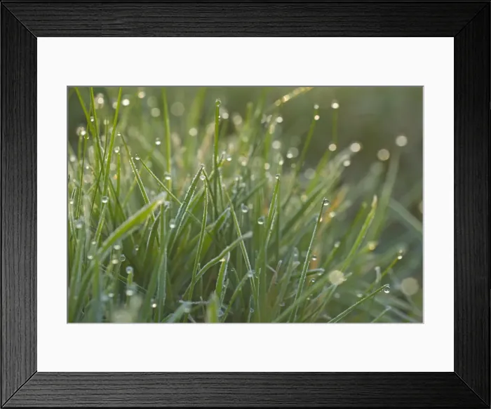 Framed Print : Picture No. 10896759