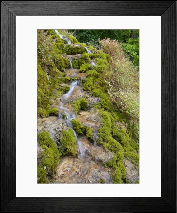 Framed Print : Picture No. 10896749 Framed Print : Picture No. 10896749