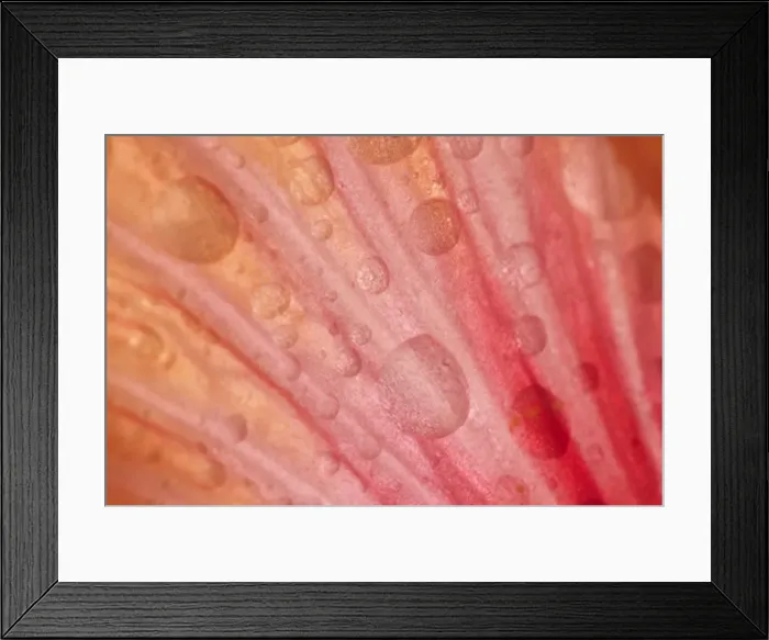 Framed Print : Picture No. 10896763 Framed Print : Picture No. 10896763