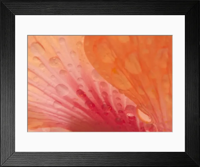 Framed Print : Picture No. 10896761 Framed Print : Picture No. 10896761