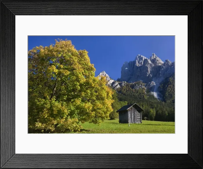 Framed Print : Picture No. 10896787 Framed Print : Picture No. 10896787