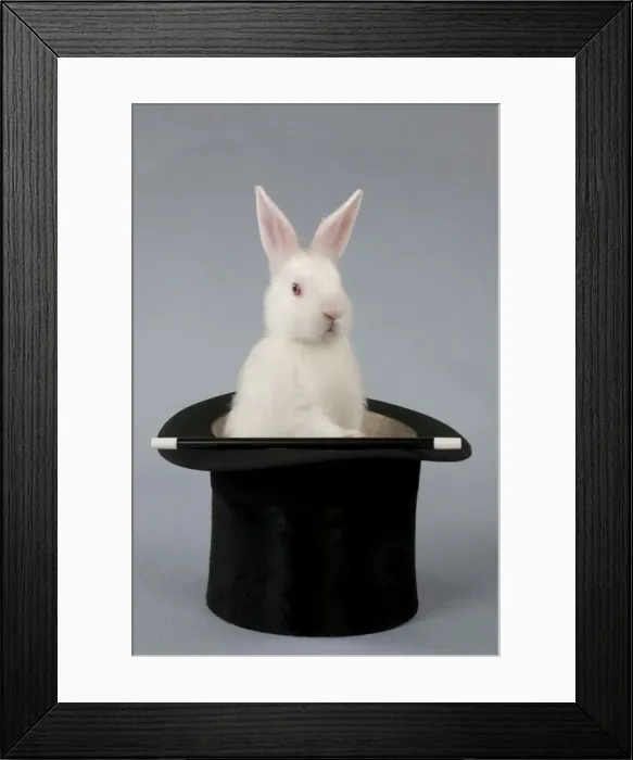 Framed Print : Picture No. 10897244 Framed Print : Picture No. 10897244