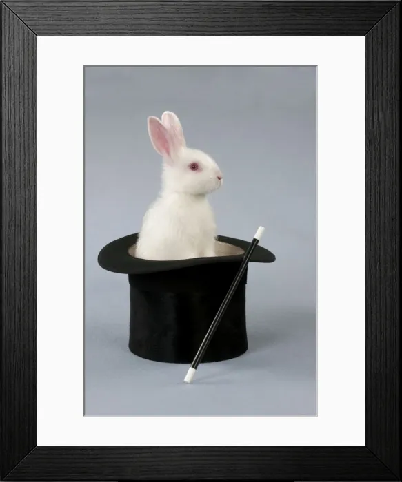 Framed Print : Picture No. 10897245 Framed Print : Picture No. 10897245