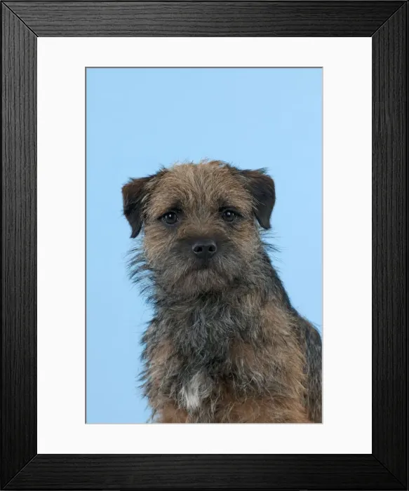 Framed Print : Picture No. 10897268 Framed Print : Picture No. 10897268