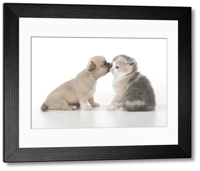 Framed Print : Picture No. 10897257 Framed Print : Picture No. 10897257