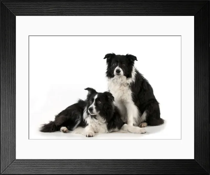 Framed Print : Picture No. 10897271 Framed Print : Picture No. 10897271