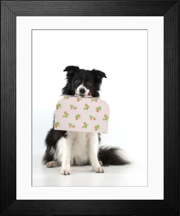 Framed Print : Picture No. 10897270 Framed Print : Picture No. 10897270
