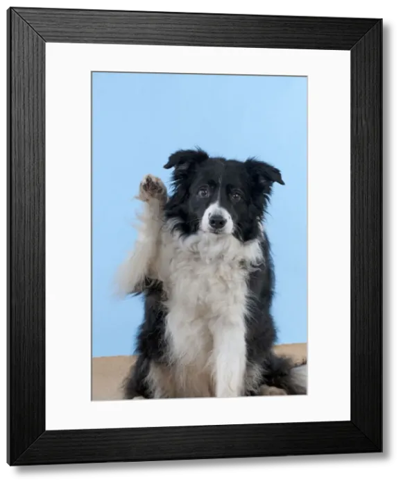 Framed Print : Picture No. 10897269 Framed Print : Picture No. 10897269