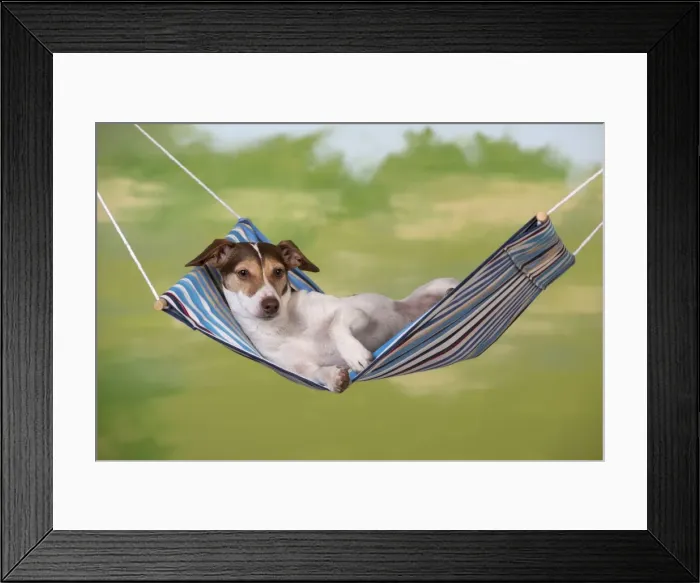 Framed Print : Picture No. 10897275 Framed Print : Picture No. 10897275