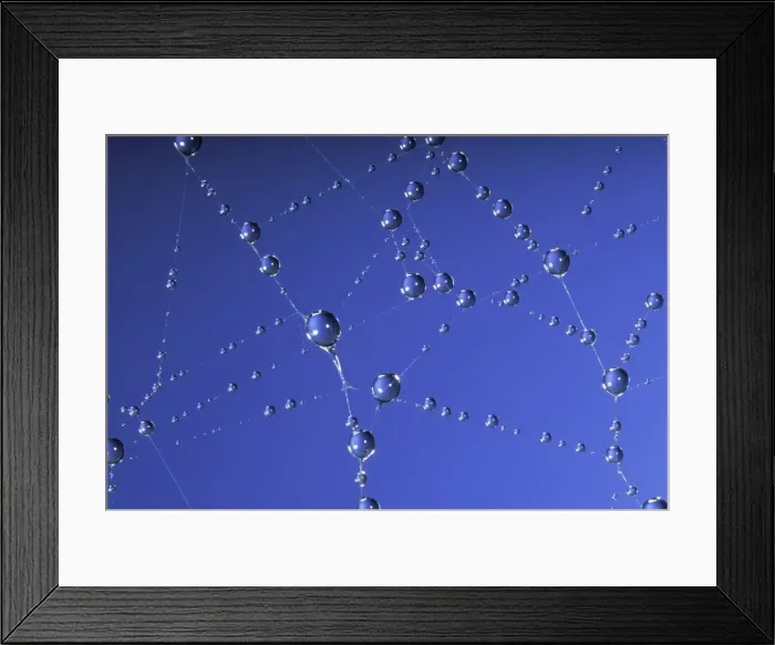 Framed Print : Picture No. 10896248 Framed Print : Picture No. 10896248