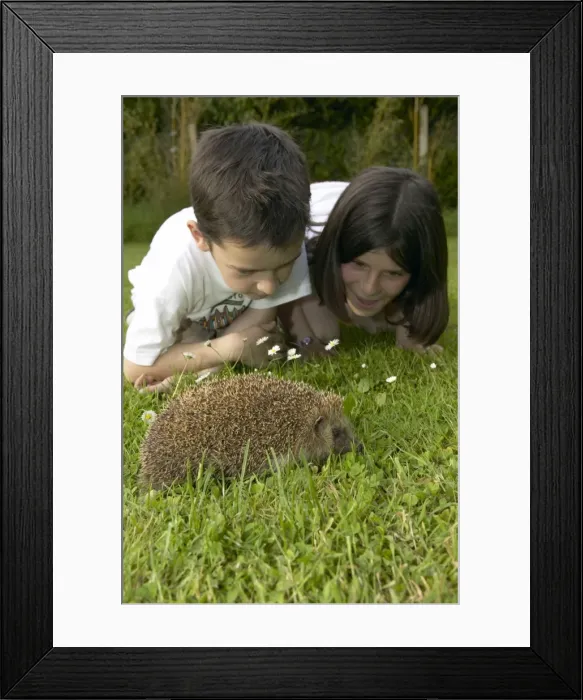Framed Print : Picture No. 10896410 Framed Print : Picture No. 10896410