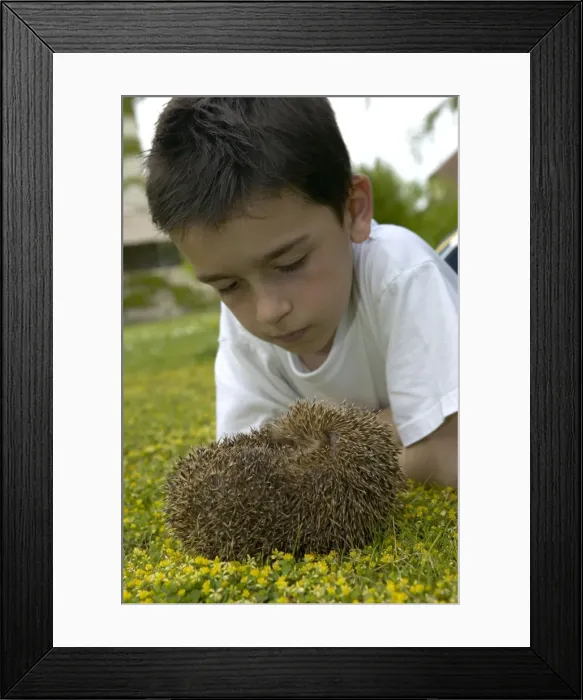 Framed Print : Picture No. 10896413 Framed Print : Picture No. 10896413