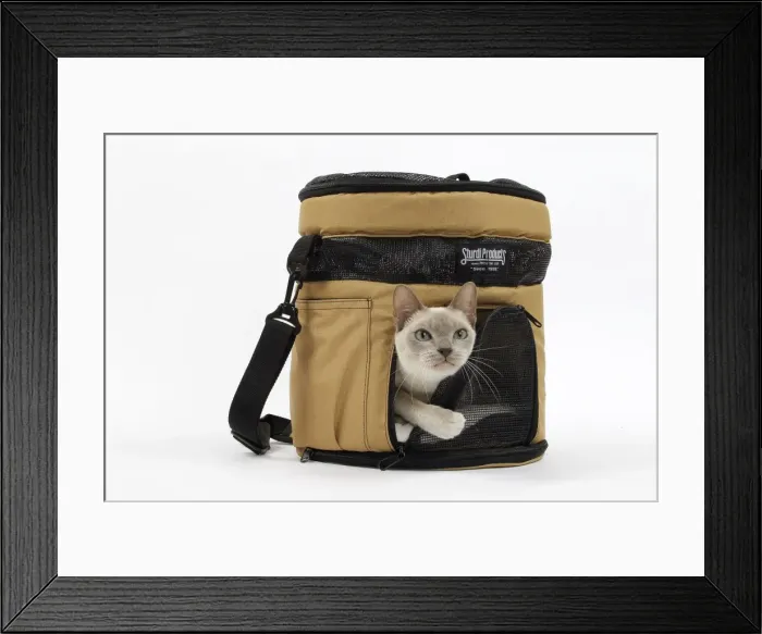 Framed Print : Picture No. 10897961 Framed Print : Picture No. 10897961