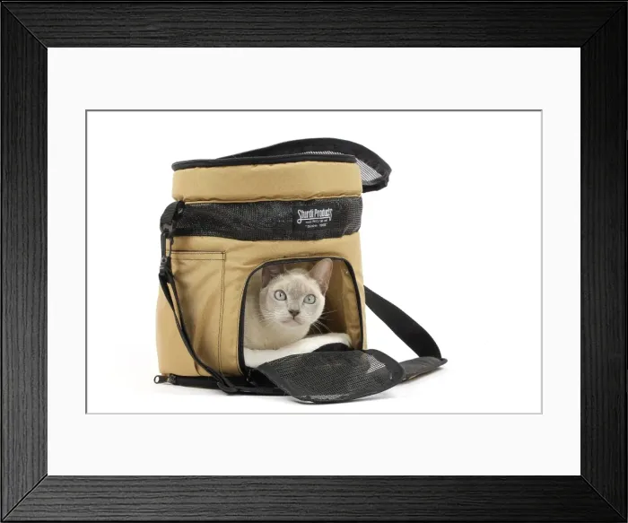 Framed Print : Picture No. 10897960 Framed Print : Picture No. 10897960