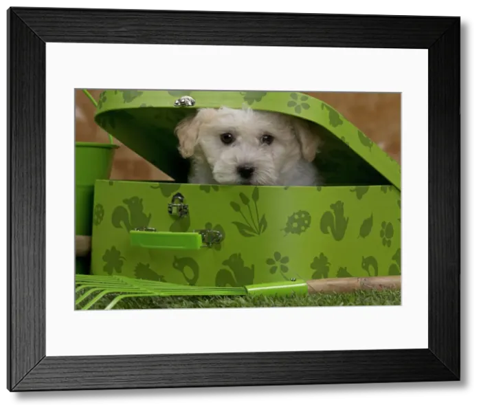 Framed Print : Picture No. 10897986 Framed Print : Picture No. 10897986