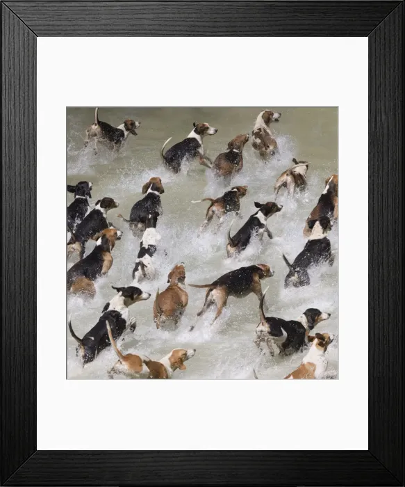 Framed Print : Picture No. 10897983 Framed Print : Picture No. 10897983
