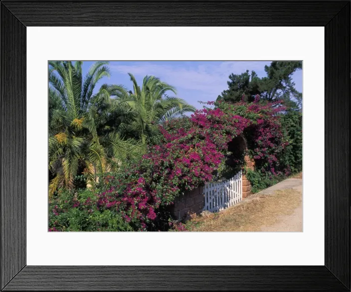Framed Print : Picture No. 10896450 Framed Print : Picture No. 10896450
