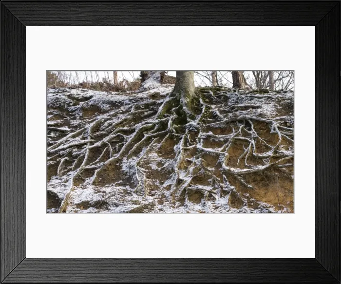 Framed Print : Picture No. 10896448