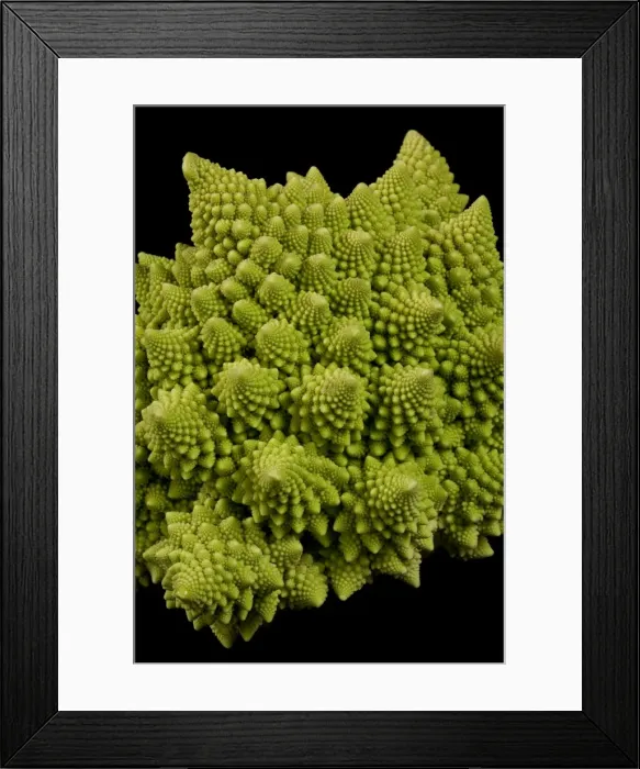 Framed Print : Picture No. 10896451 Framed Print : Picture No. 10896451