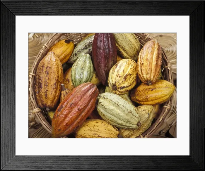 Framed Print : Picture No. 10896465