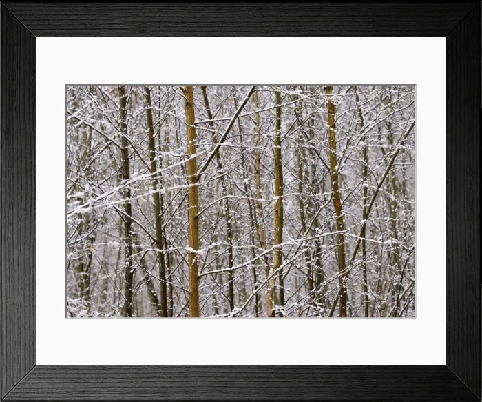 Framed Print : Picture No. 10896466 Framed Print : Picture No. 10896466