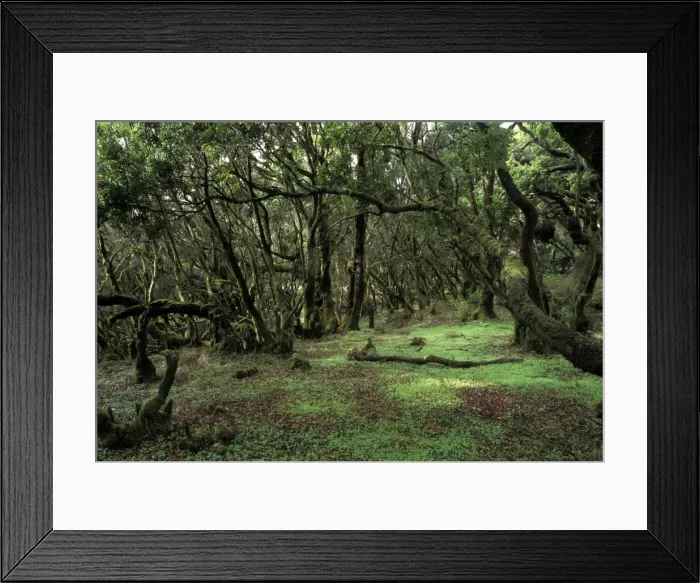 Framed Print : Picture No. 10896472 Framed Print : Picture No. 10896472
