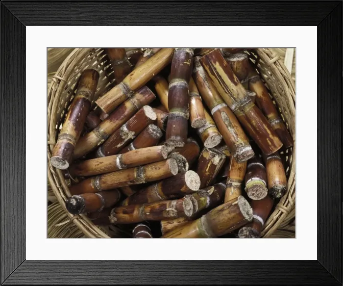 Framed Print : Picture No. 10896488 Framed Print : Picture No. 10896488