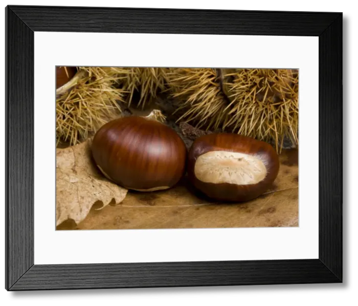 Framed Print : Picture No. 10896492 Framed Print : Picture No. 10896492