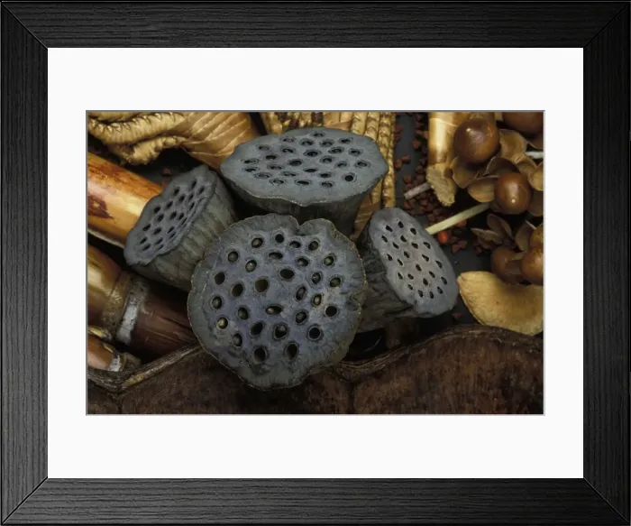 Framed Print : Picture No. 10896487 Framed Print : Picture No. 10896487