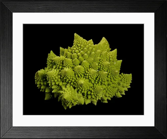 Framed Print : Picture No. 10896498 Framed Print : Picture No. 10896498