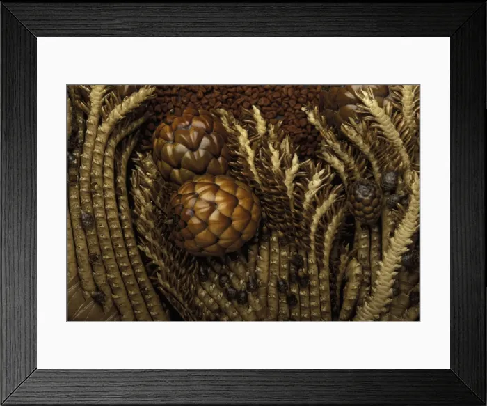 Framed Print : Picture No. 10896494 Framed Print : Picture No. 10896494