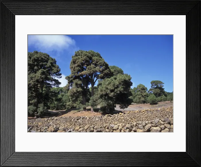 Framed Print : Picture No. 10896496 Framed Print : Picture No. 10896496