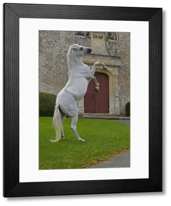 Framed Print : Picture No. 10898664 Framed Print : Picture No. 10898664